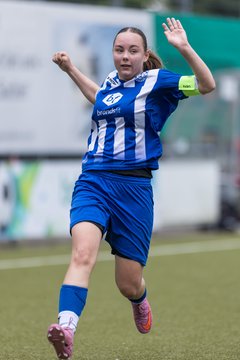 Bild 206 - wBJ Hamburger SV - FC Suederelbe : Ergebnis: 9:0